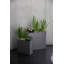 Cosmic Handmade Pot Planter-511861814