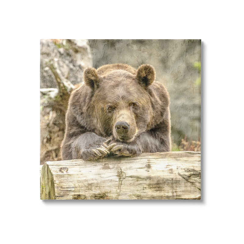 Ours reposant sur une bûche par Kim Allen, H 36 po x l 36 po x P 1,5 po