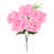 Rose est en rupture de stock