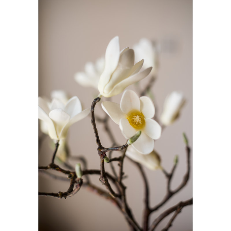 Tige de magnolia artificielle, Blanc