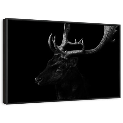 Elk Beauty Canvas Print