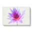 Water Lily - Wrapped Canvas-56640096