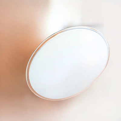 Miroir grossissant 9 po avec 3 ventouses solides | Grossissement 5X | Miroir de maquillage et de voyage portable (5X)