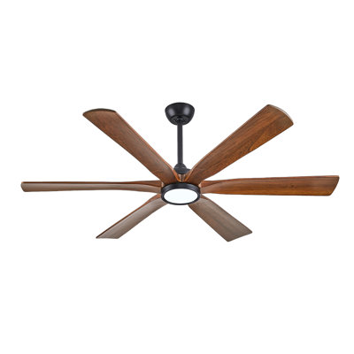 Ceiling Fan