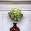 Roper Silk Hydrangea Arrangement