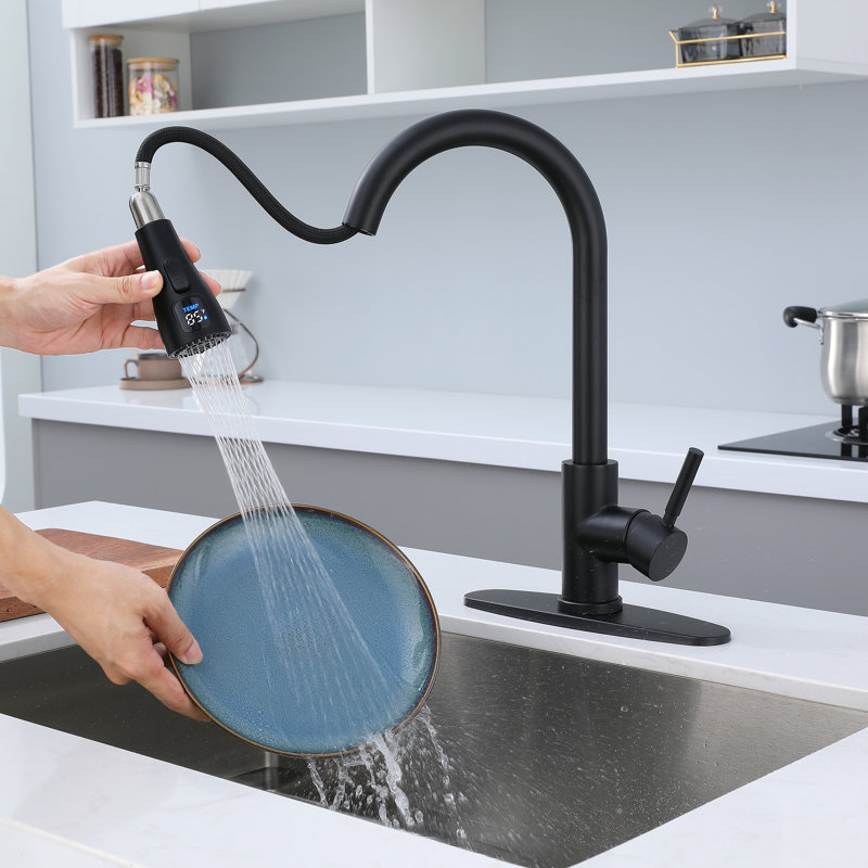Robinets de cuisine noirs FixtureDisplays® avec douchette rétractable, robinet de cuisine rétractable en nickel brossé à poignée unique à grande arche, robinet d'évier de cuisine en acier inoxydable à un niveau, pour camper bar 22120
