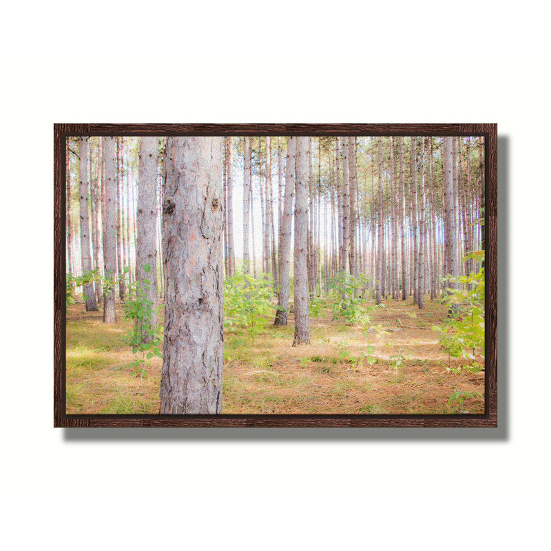 Dans ces bois par Hal Halli. Toile giclée sur toile tendue avec cadre flottant, H 40,5 po x l 60,5 po, Brun