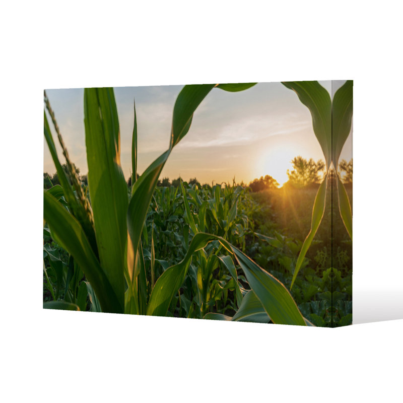 Andrew Lee - Wrapped Canvas Print