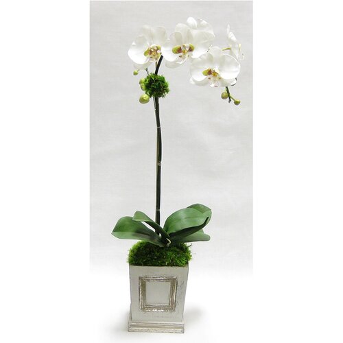 Bougainvillea Orchid Floral Arrangement in Wooden Small Square ...