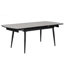Benedick 6 - Person Extendable Dining Set