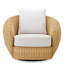 Rafael Barrel Chair
