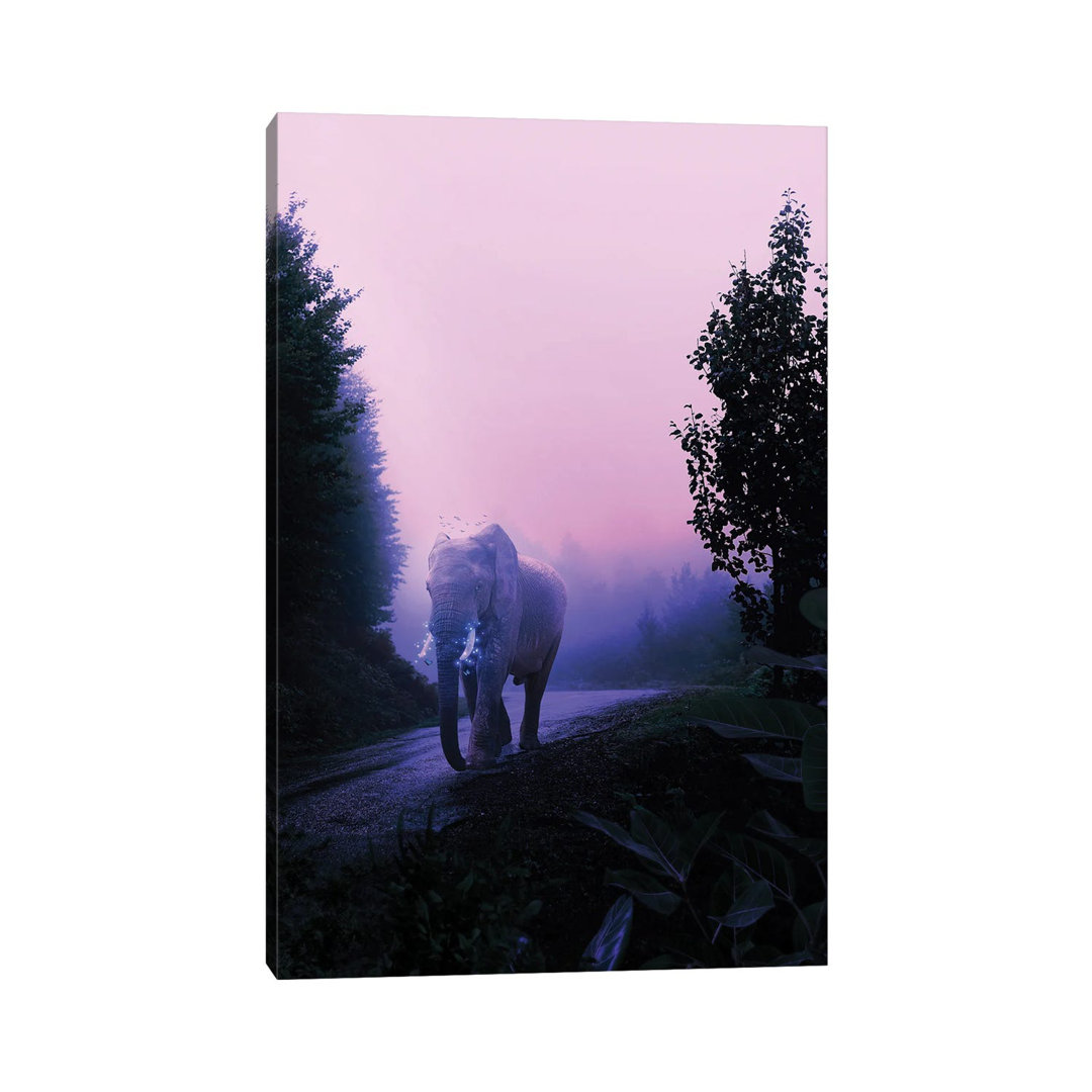Elephant by Milos Karanovic - Wrapped Canvas Print
