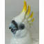 Animals Figurines & Sculptures