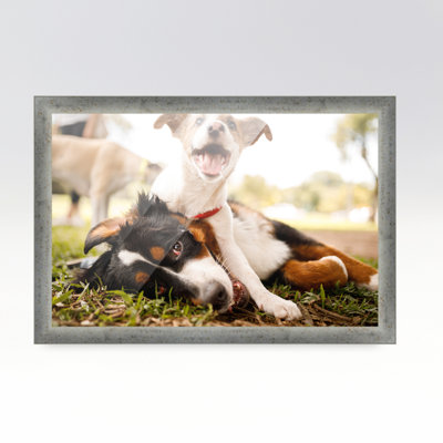 Emsal Silver Solid Wood None Picture Frame