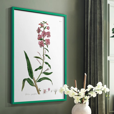 Rose Botanical I, reproduction encadrée - bois massif