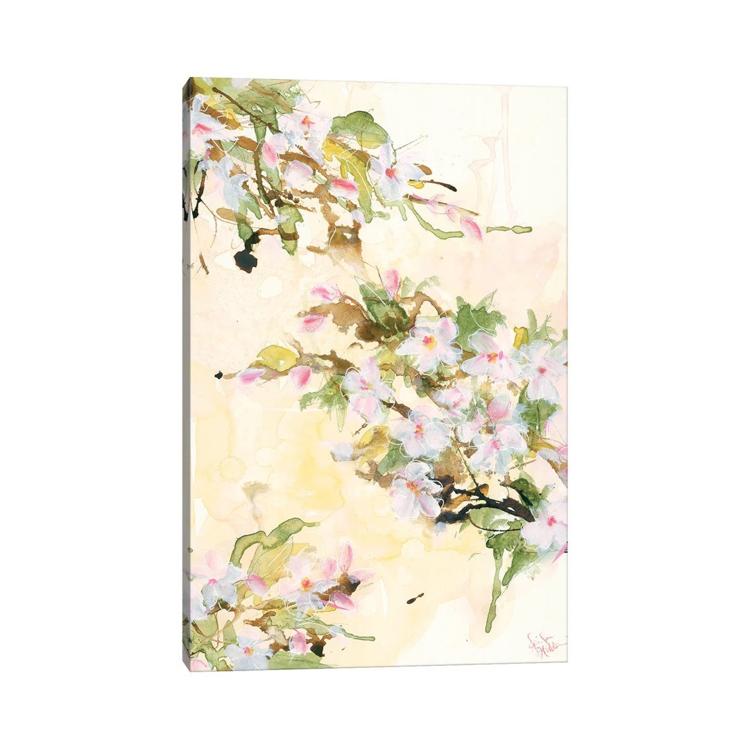 Cherry Blossoms by Jennifer Holden - Wrapped Canvas Painting