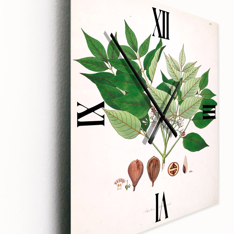 Horloge murale Plant Life, Très grand