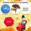 Thanksgiving Decoration
