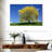 Harnek Spring Weeping Willow-107850696