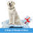 Polyester Blend Pet Blanket-97748382-97748383