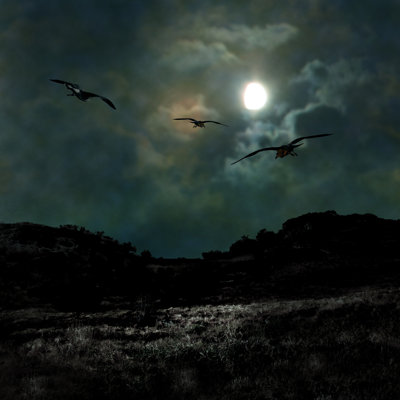 Ominous Dark Night by LoraLiu - Wrapped Canvas Print