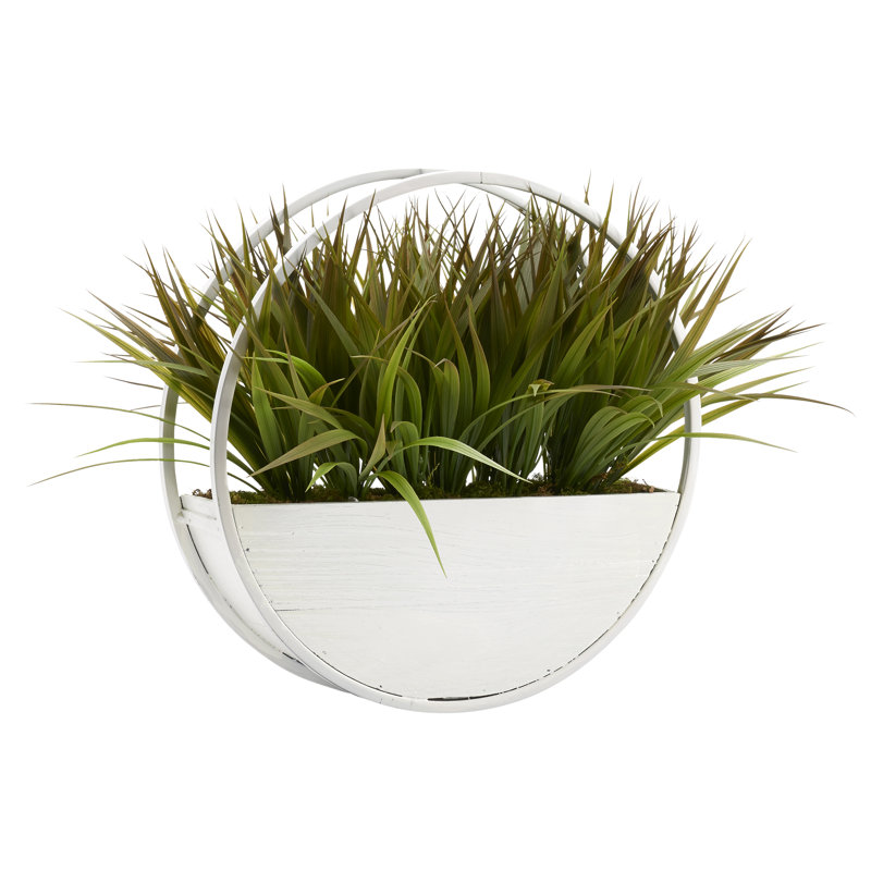 Herbe dans une applique murale ronde, H 15 po x l 20 po x P 10 po