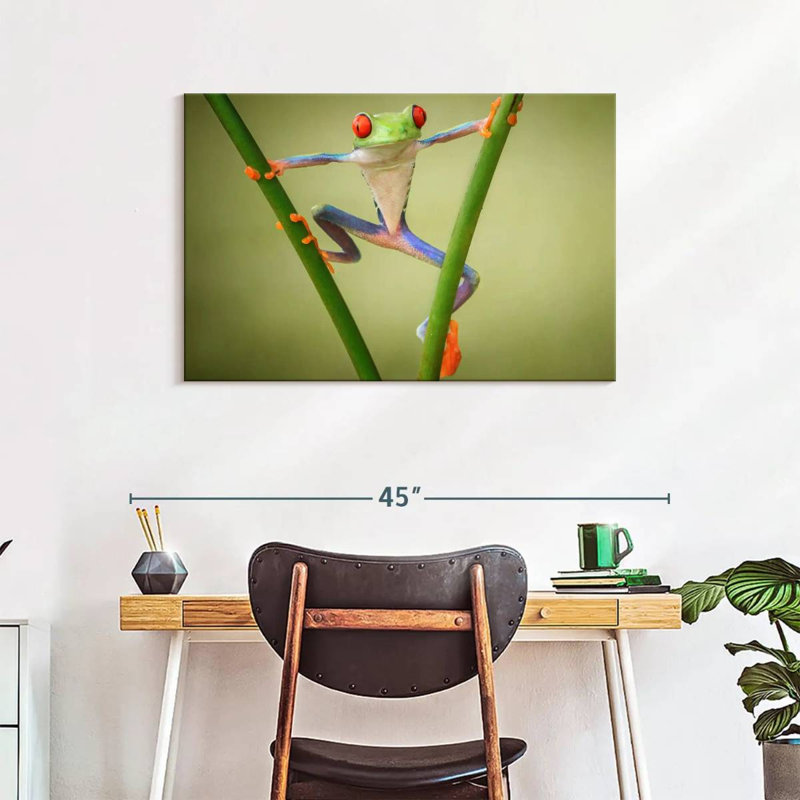 Frog Show Off, 24" H x 36" W