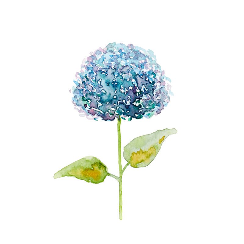 Abstract Hydrangea Flower by Barol16 - Wrapped Canvas Painting, 30cm H x 30cm W x 3.8cm D