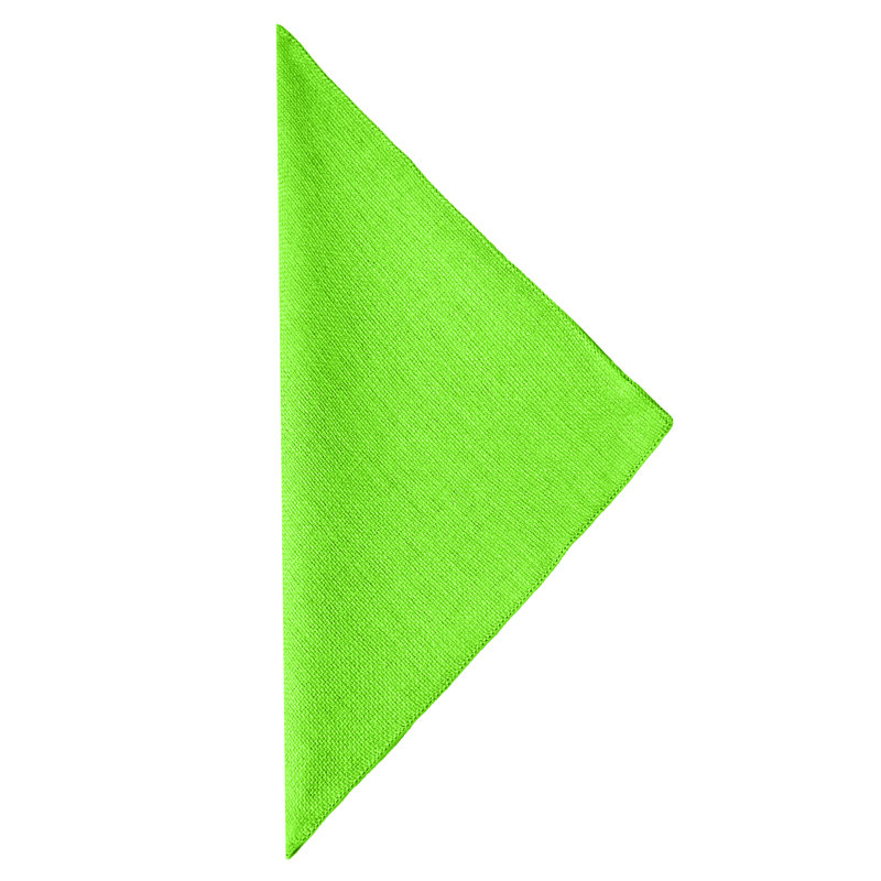 Aizhan Polyester Square Napkin, Lime, 10" x 10"