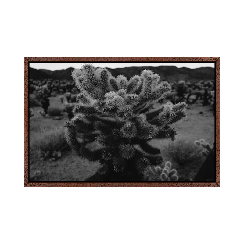 Cholla Cactus Garden XIII by Bethany Young - Print on Canvas, 101.6cm H x 152.4cm W x 3.81cm D, Classic Brown Wood Framed