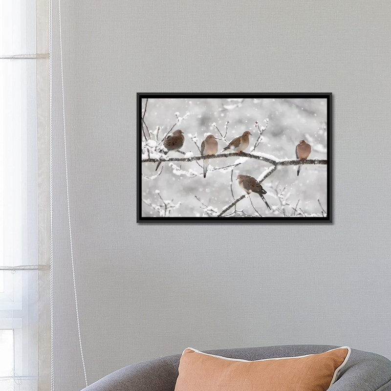 Mourning Dove Group in Winter, Nouvelle-Écosse, Canada II par Scott Leslie - reproduction de photo sur toile tendue