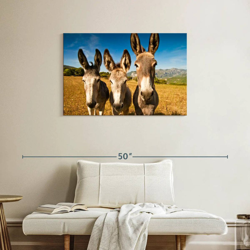 Brampt Donkey Trio, H 24 po x l 36 po
