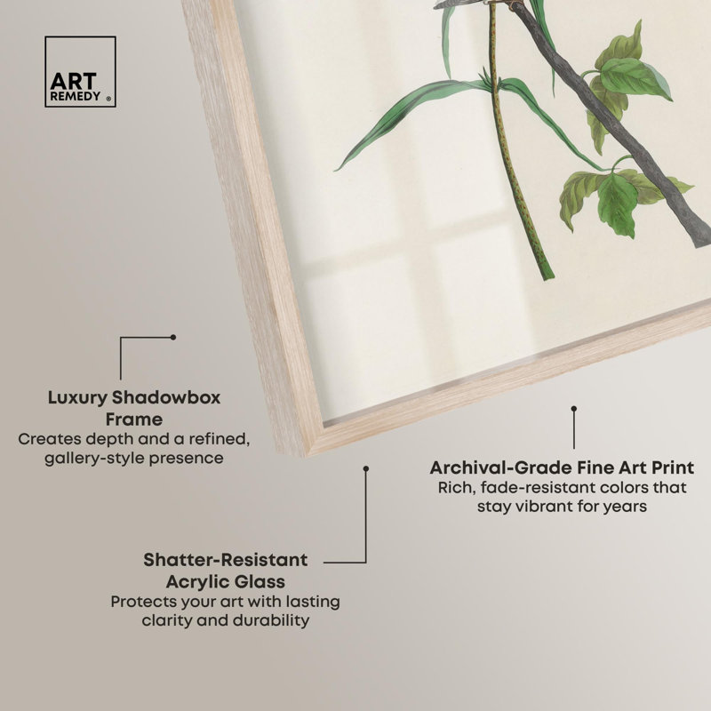 Reproduction audacieuse par Audubon par Art Remedy, H 55 po x l 37 po, Crème, crème