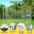 72'' H Metal Yard Kennel