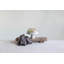 Bee Handcrafted Relaimed Found Wood Board