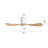 42 In. 3 Abs Blades Indoor Flush Mount Ceiling Fan With Light Kit And Remote-105501507-105501505