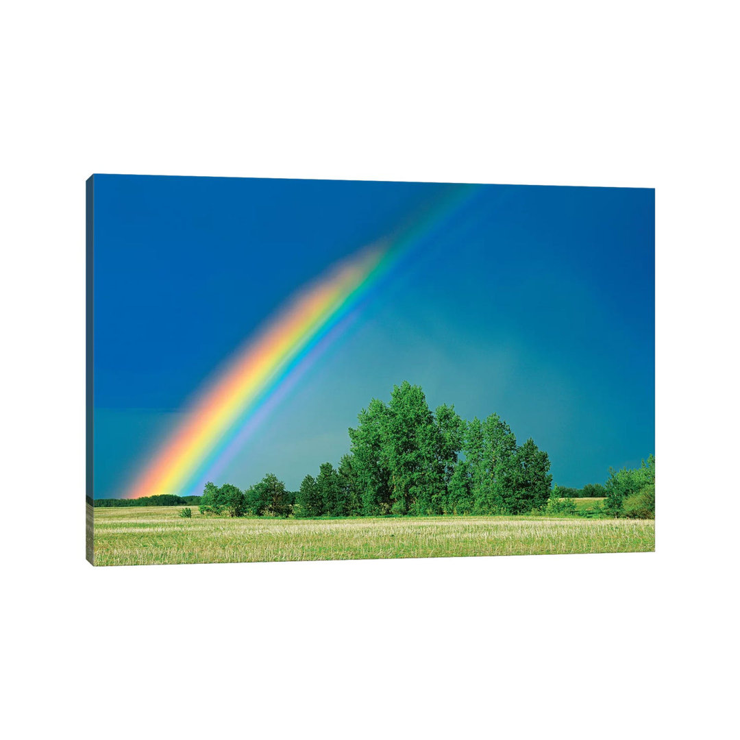 Canada, Saskatchewan, Wroxton. Rainbow Over Grassland. by Jaynes Gallery - Wrapped Canvas Gallery-Wrapped Canvas Giclée