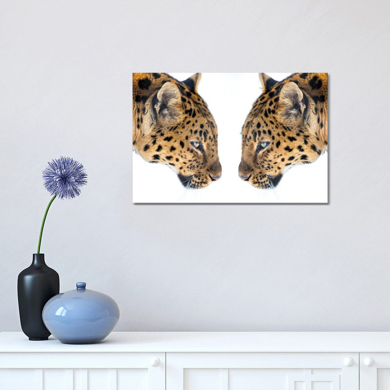 Mirrored by David Gardiner - Wrapped Canvas Print, 30.48cm H x 45.72cm W