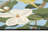 Floral Kitchen Mat-96371677