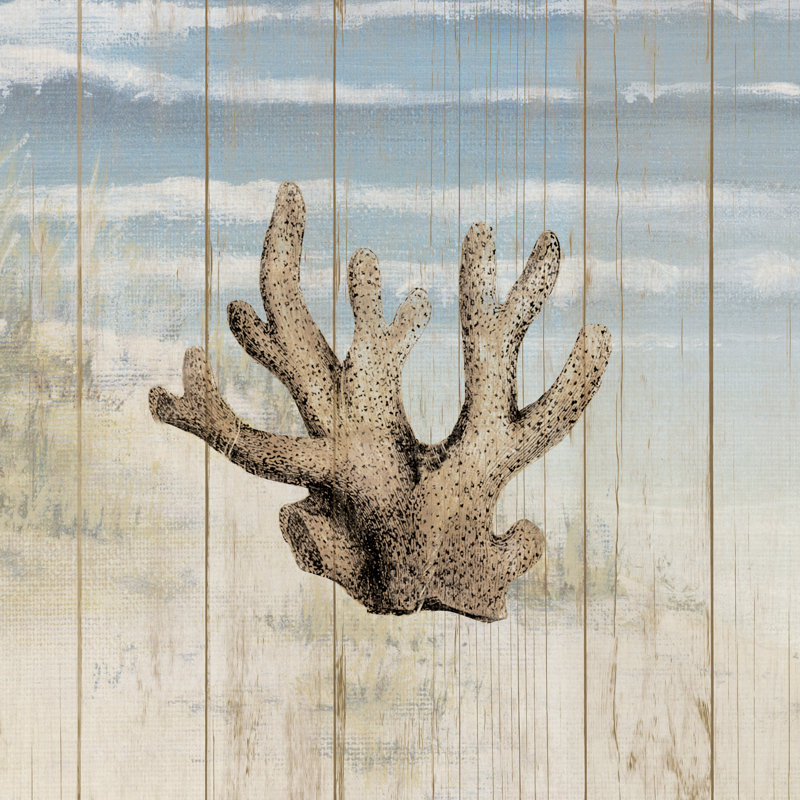 Coral Over Coast - Wrapped Canvas Print, 30cm H x 30cm W x 3.8cm D