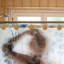 12 crochets de rideau de douche en osier tressé Boho - anneaux de rideau de douche en rotin décoratifs, accessoires de quincaillerie de salle de bain de style maison de campagne pour tringle de douche