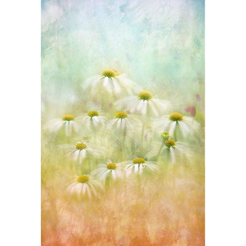 Wrapped Canvas Print, 50.8cm H x 76.2cm W