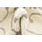 Vine Indoor Rug-40286776