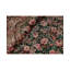 Tapis vert et rose noué à la main de haute qualité