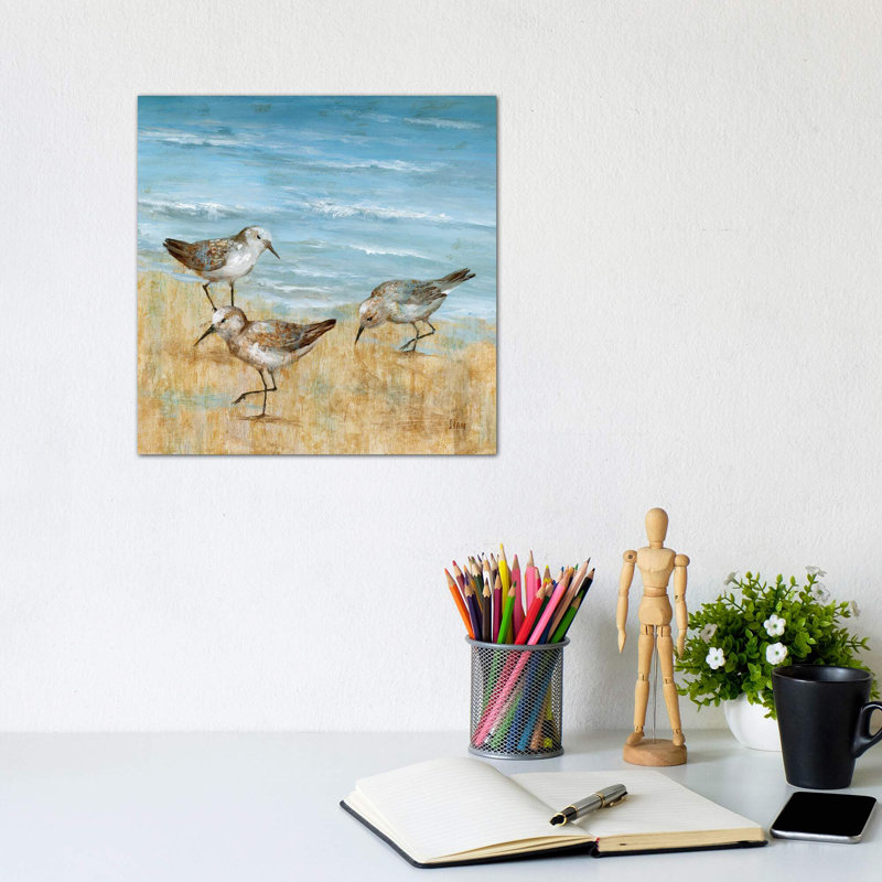 Sandpipers II by Nan - Wrapped Canvas Print, 30.48 cm H x 30.48 cm W