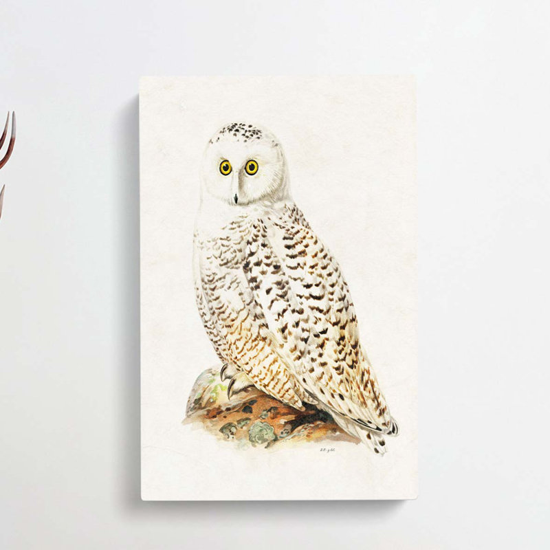 Snowy Owl - Wrapped Canvas, 60cm H x 40cm W x 3cm D