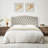 Queen Upholstered Headboard Only, Button Tufted Velvet Headboard, Wall Mountable, Easy Assembly-Light Gray-1881806553