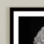 Nature Inspired Poppy by  - Picture Frame Graphic Art on Paper-81388144
