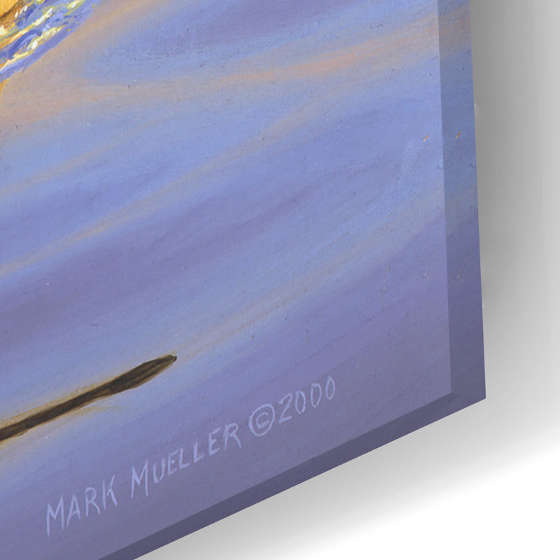 «Lone Pintail» par Mark Mueller, art animalier, H 16 po x l 24 po x P 0,2 po