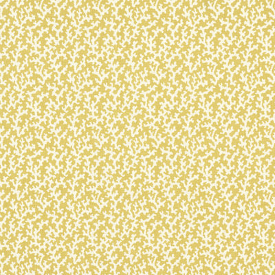 Schumacher X Veere Grenney Folly Fabric
